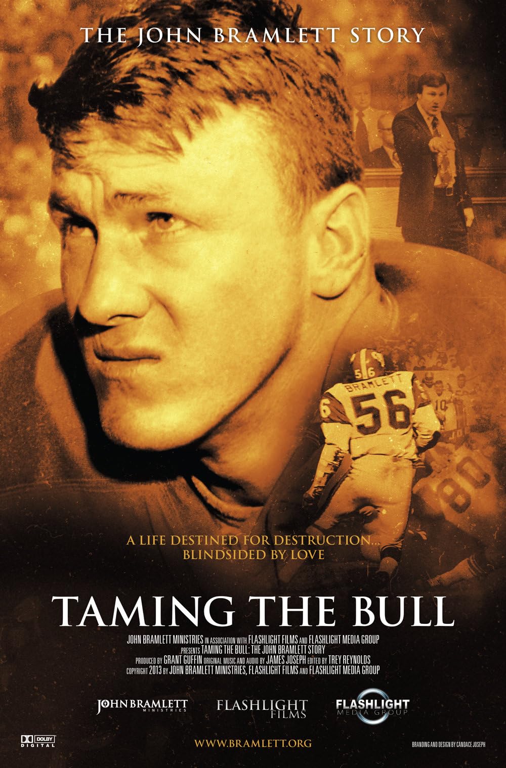 Taming the Bull